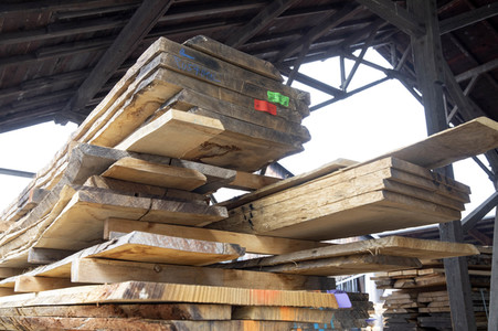 Symbolfoto Holzknappheit