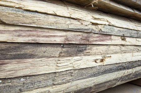 Symbolfoto Holzknappheit