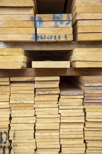 Symbolfoto Holzknappheit