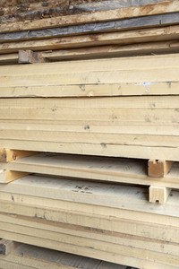 Symbolfoto Holzknappheit