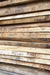 Symbolfoto Holzknappheit