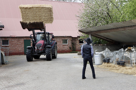 Fototermin mit Truck Stop in Bargstedt