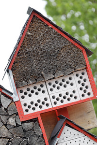 Symbolfoto Insektenhotel