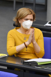 231. Sitzung des Deutschen Bundestages in Berlin