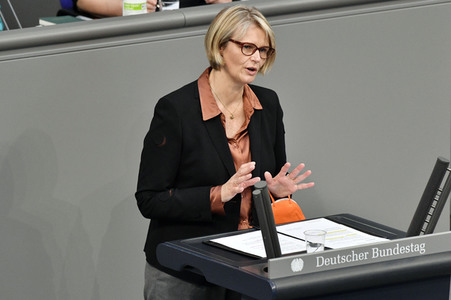 231. Sitzung des Deutschen Bundestages in Berlin
