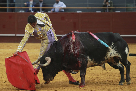 Stierkampf in Madrid