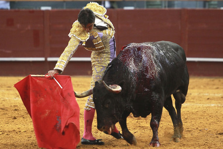 Stierkampf in Madrid