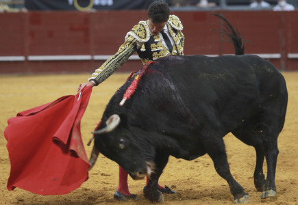 Stierkampf in Madrid