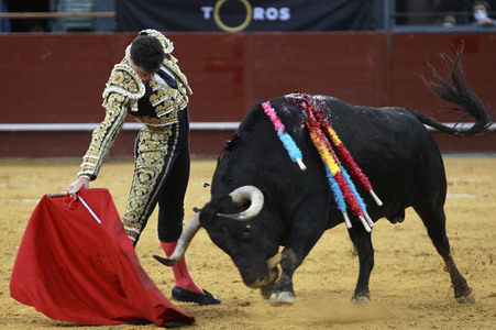 Stierkampf in Madrid