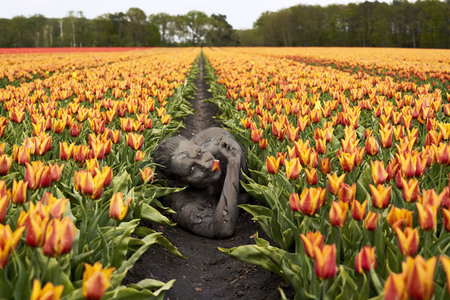 NATURE ART: Tulpenfeld / Tulip Field Bodypainting
