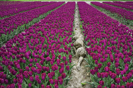 NATURE ART: Tulpenfeld / Tulip Field Bodypainting