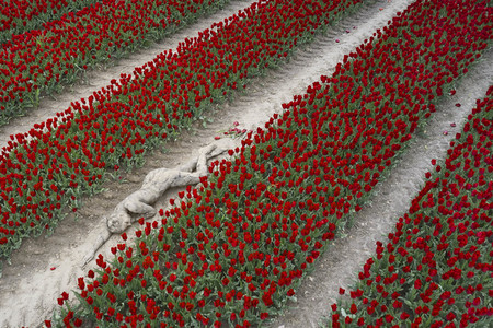 NATURE ART: Tulpenfeld / Tulip Field Bodypainting