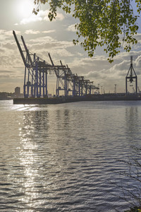 Containerterminal Burchardkai in Hamburg