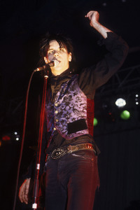 Konzert von Wall of Voodoo in London