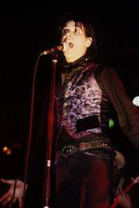 Konzert von Wall of Voodoo in London