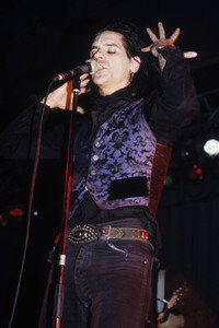 Konzert von Wall of Voodoo in London