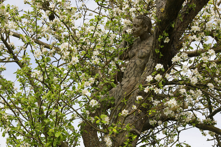 NATURE ART: Apfelbaum / Apple Tree Bodypainting