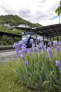 Der Hauptbahnhof in Bingen