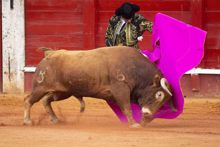 Bullfight by the bullfighters Morante de la Puebla, Daniel Luque