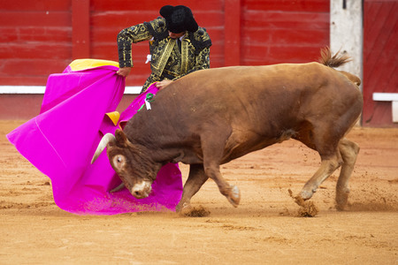Bullfight by the bullfighters Morante de la Puebla, Daniel Luque