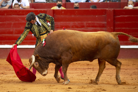 Bullfight by the bullfighters Morante de la Puebla, Daniel Luque