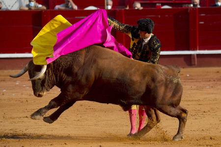 Bullfight by the bullfighters Morante de la Puebla, Daniel Luque