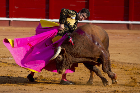 Bullfight by the bullfighters Morante de la Puebla, Daniel Luque