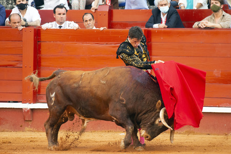 Bullfight by the bullfighters Morante de la Puebla, Daniel Luque