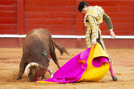 Bullfight by the bullfighters Morante de la Puebla, Daniel Luque