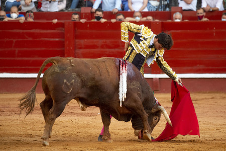 Bullfight by the bullfighters Morante de la Puebla, Daniel Luque