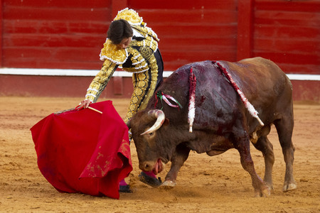 Bullfight by the bullfighters Morante de la Puebla, Daniel Luque