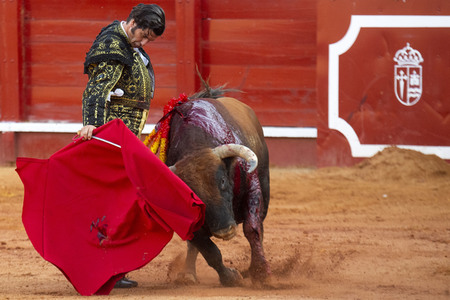 Bullfight by the bullfighters Morante de la Puebla, Daniel Luque