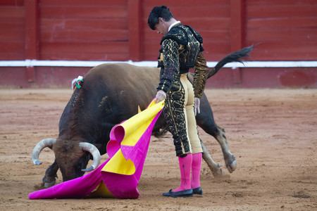 Bullfight by the bullfighters Morante de la Puebla, Daniel Luque