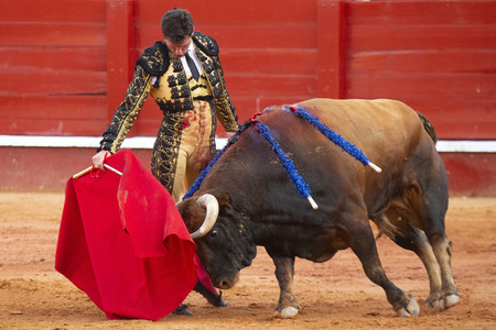 Bullfight by the bullfighters Morante de la Puebla, Daniel Luque