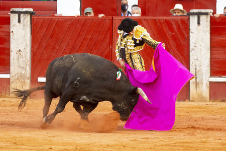 Bullfight by the bullfighters Morante de la Puebla, Daniel Luque