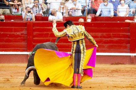 Bullfight by the bullfighters Morante de la Puebla, Daniel Luque