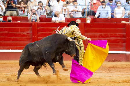 Bullfight by the bullfighters Morante de la Puebla, Daniel Luque