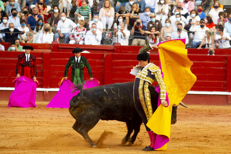 Bullfight by the bullfighters Morante de la Puebla, Daniel Luque
