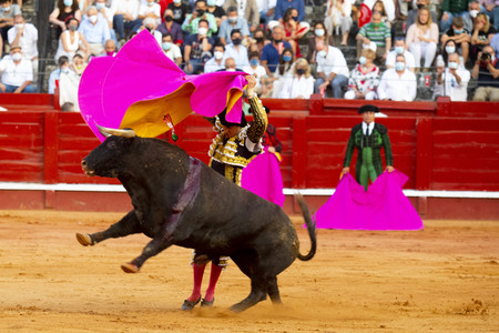 Bullfight by the bullfighters Morante de la Puebla, Daniel Luque
