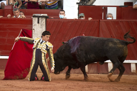 Bullfight by the bullfighters Morante de la Puebla, Daniel Luque