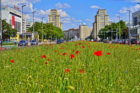 Begrünter Mittelstreifen auf der Karl-Marx-Allee in Berlin