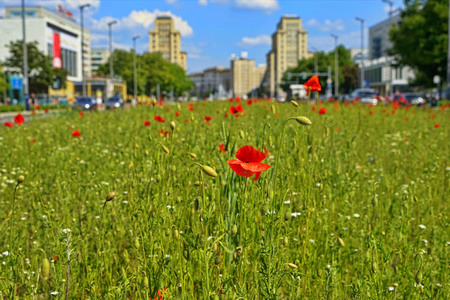 Begrünter Mittelstreifen auf der Karl-Marx-Allee in Berlin
