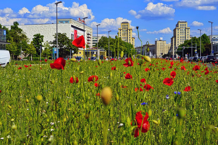 Begrünter Mittelstreifen auf der Karl-Marx-Allee in Berlin