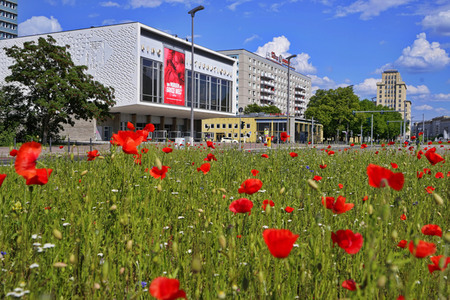 Begrünter Mittelstreifen auf der Karl-Marx-Allee in Berlin