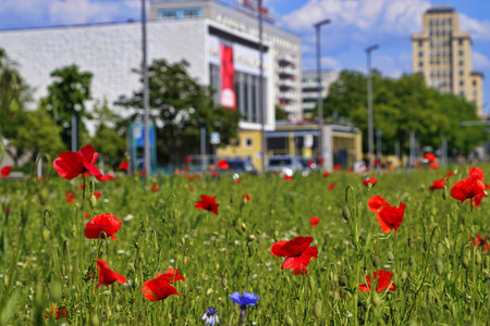 Begrünter Mittelstreifen auf der Karl-Marx-Allee in Berlin
