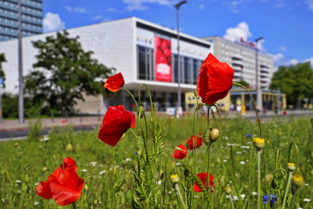 Begrünter Mittelstreifen auf der Karl-Marx-Allee in Berlin