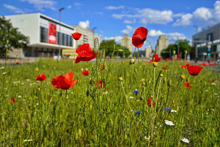 Begrünter Mittelstreifen auf der Karl-Marx-Allee in Berlin