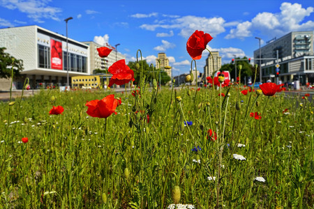 Begrünter Mittelstreifen auf der Karl-Marx-Allee in Berlin