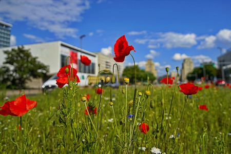 Begrünter Mittelstreifen auf der Karl-Marx-Allee in Berlin