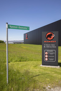 Symbolfoto Mammut